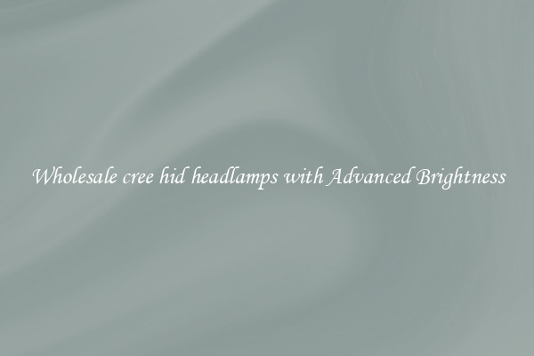 Wholesale cree hid headlamps with Advanced Brightness