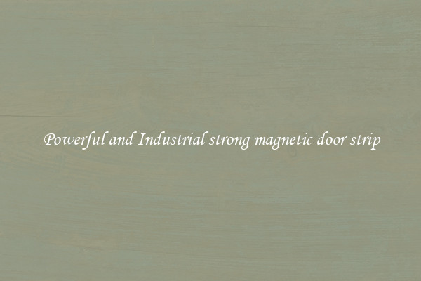 Powerful and Industrial strong magnetic door strip