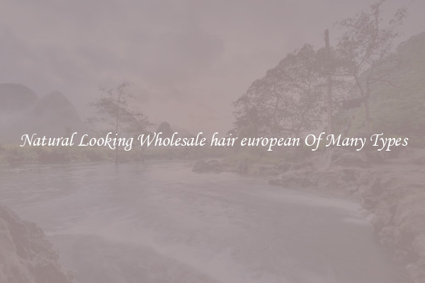 Natural Looking Wholesale hair european Of Many Types
