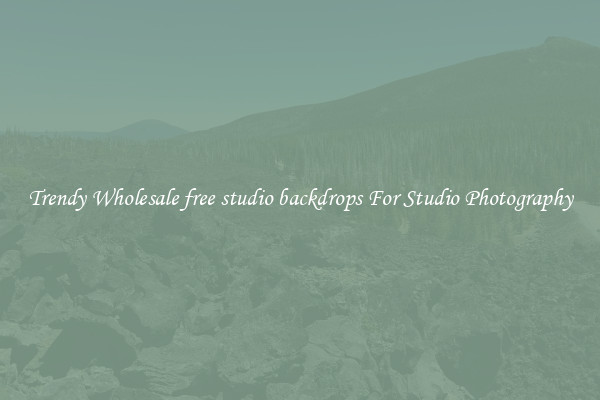 Trendy Wholesale free studio backdrops For Studio Photography
