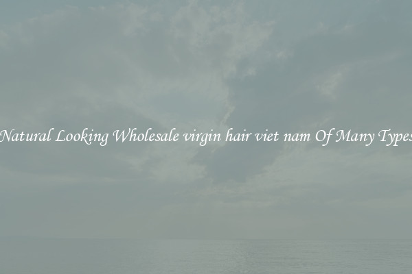 Natural Looking Wholesale virgin hair viet nam Of Many Types