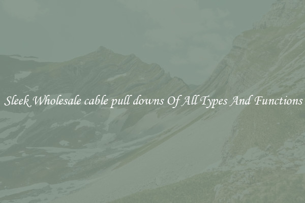 Sleek Wholesale cable pull downs Of All Types And Functions