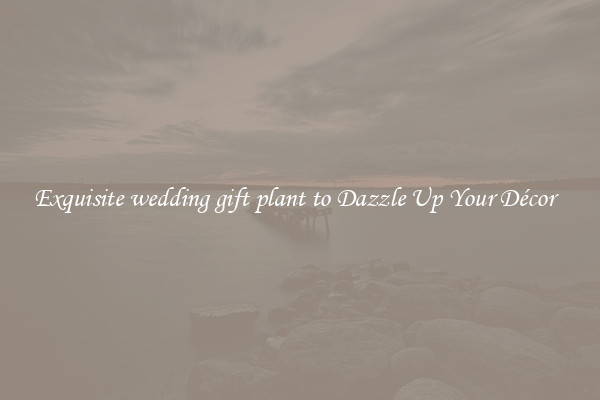 Exquisite wedding gift plant to Dazzle Up Your Décor  