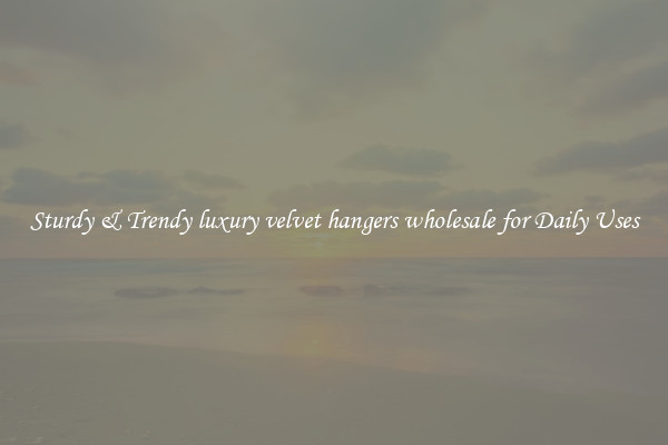 Sturdy & Trendy luxury velvet hangers wholesale for Daily Uses