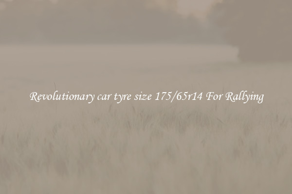 Revolutionary car tyre size 175/65r14 For Rallying