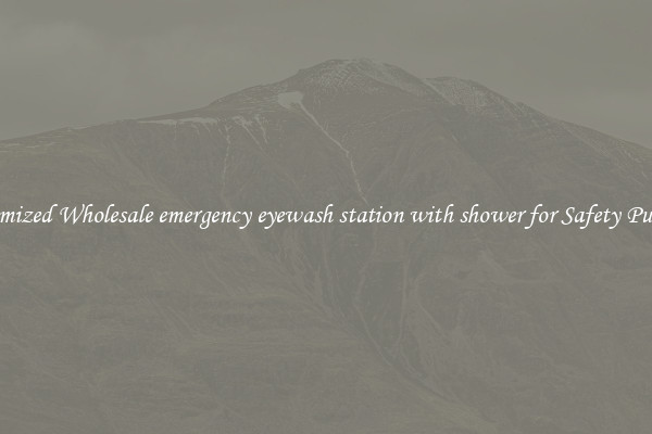 Customized Wholesale emergency eyewash station with shower for Safety Purposes