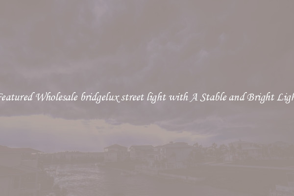Featured Wholesale bridgelux street light with A Stable and Bright Light