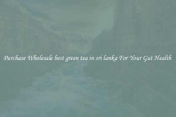 Purchase Wholesale best green tea in sri lanka For Your Gut Health 