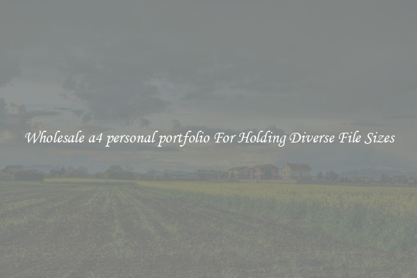 Wholesale a4 personal portfolio For Holding Diverse File Sizes