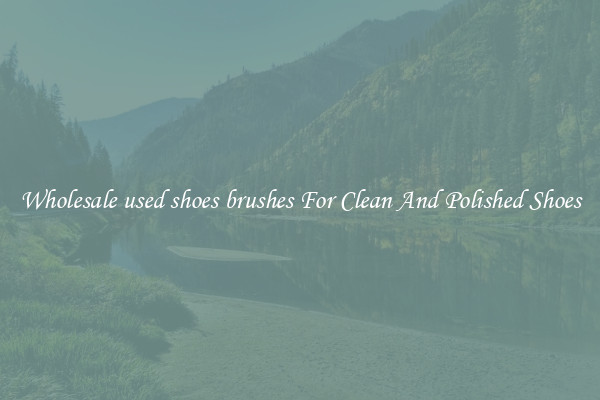 Wholesale used shoes brushes For Clean And Polished Shoes