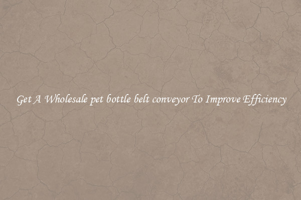 Get A Wholesale pet bottle belt conveyor To Improve Efficiency
