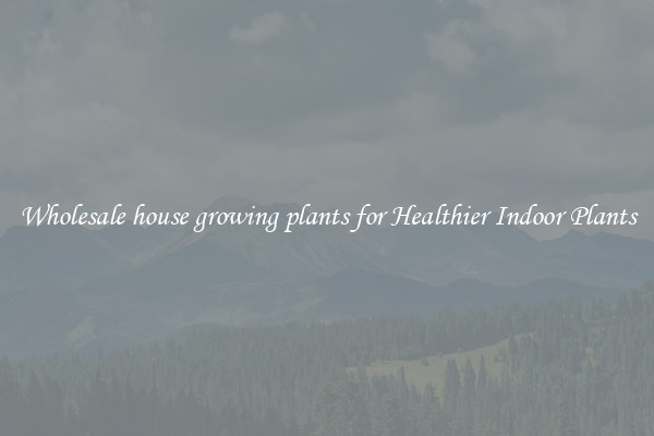Wholesale house growing plants for Healthier Indoor Plants