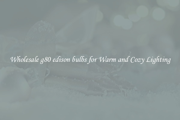 Wholesale g80 edison bulbs for Warm and Cozy Lighting