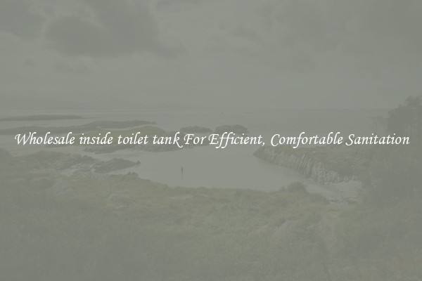 Wholesale inside toilet tank For Efficient, Comfortable Sanitation