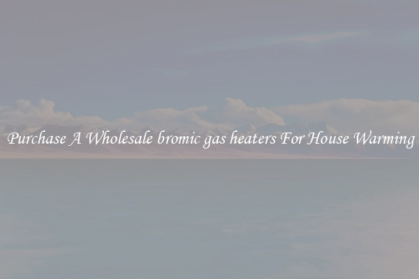 Purchase A Wholesale bromic gas heaters For House Warming