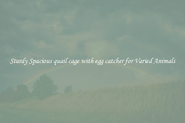 Sturdy Spacious quail cage with egg catcher for Varied Animals