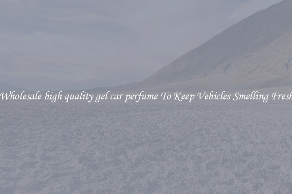 Wholesale high quality gel car perfume To Keep Vehicles Smelling Fresh