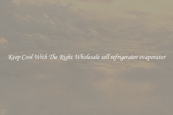 Keep Cool With The Right Wholesale sell refrigerator evaporator