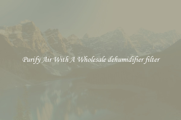 Purify Air With A Wholesale dehumidifier filter