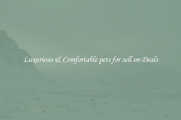 Luxurious & Comfortable pets for sell on Deals
