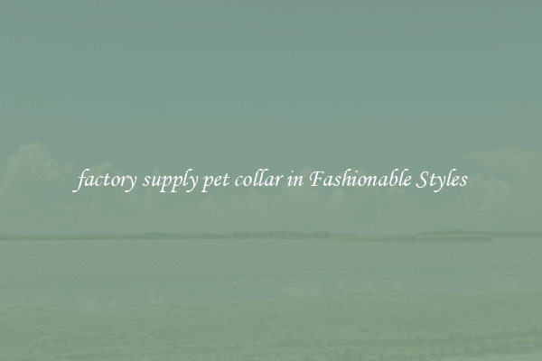 factory supply pet collar in Fashionable Styles