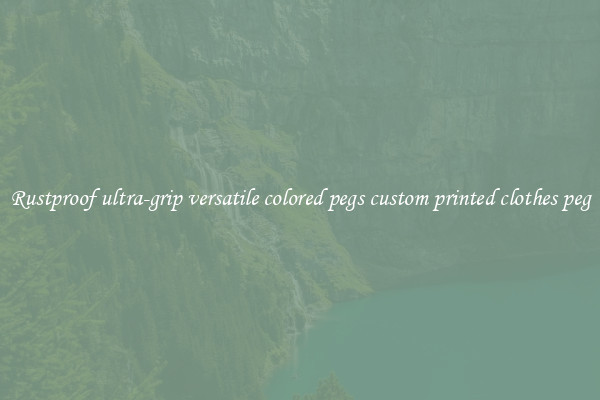 Rustproof ultra-grip versatile colored pegs custom printed clothes peg