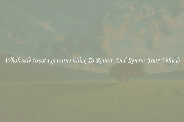 Wholesale toyota genuine hilux To Repair And Renew Your Vehicle