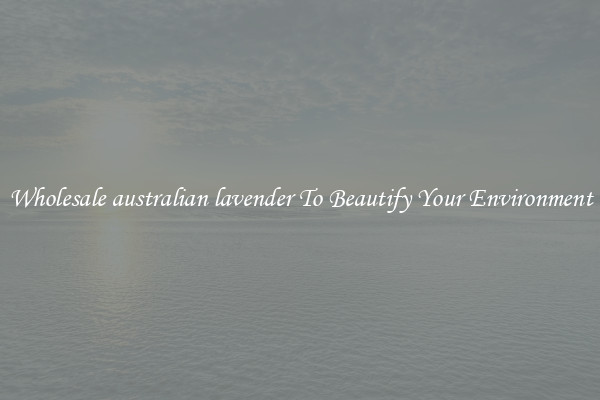 Wholesale australian lavender To Beautify Your Environment