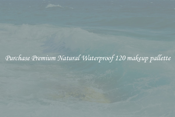 Purchase Premium Natural Waterproof 120 makeup pallette
