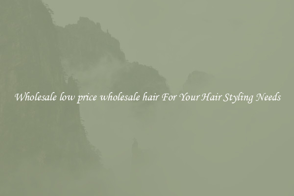 Wholesale low price wholesale hair For Your Hair Styling Needs