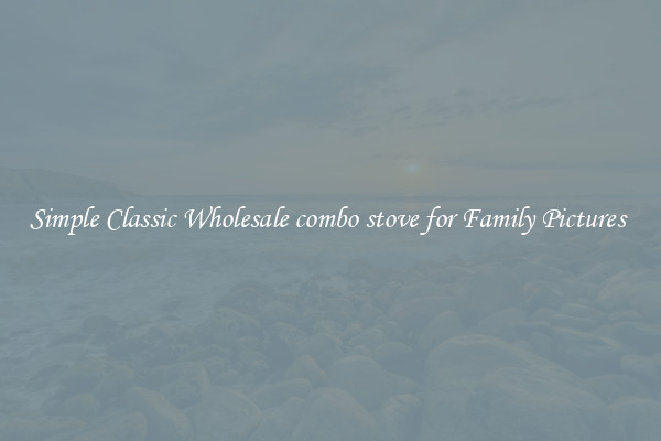 Simple Classic Wholesale combo stove for Family Pictures 