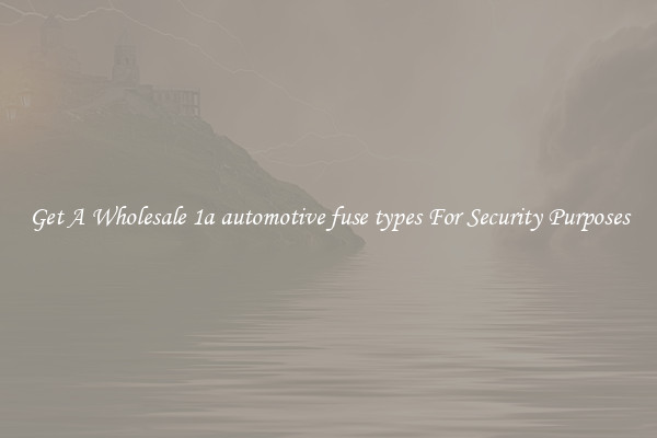 Get A Wholesale 1a automotive fuse types For Security Purposes