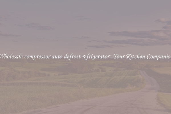Wholesale compressor auto defrost refrigerator: Your Kitchen Companion