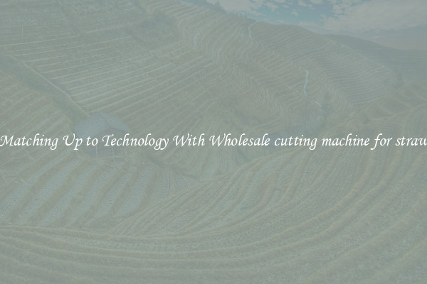 Matching Up to Technology With Wholesale cutting machine for straw